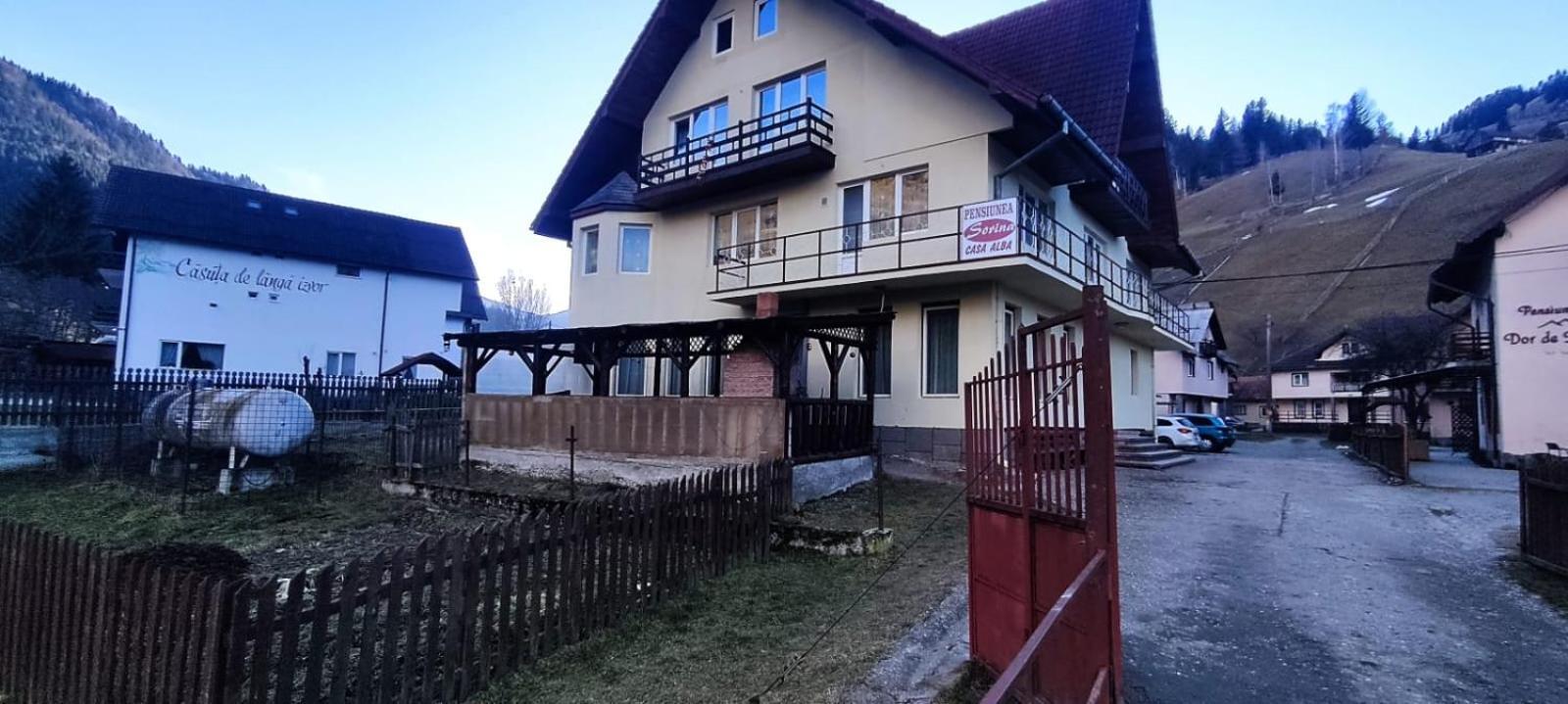 Pensiunea Sorina Casa Alba モイエチウ・デ・スス エクステリア 写真